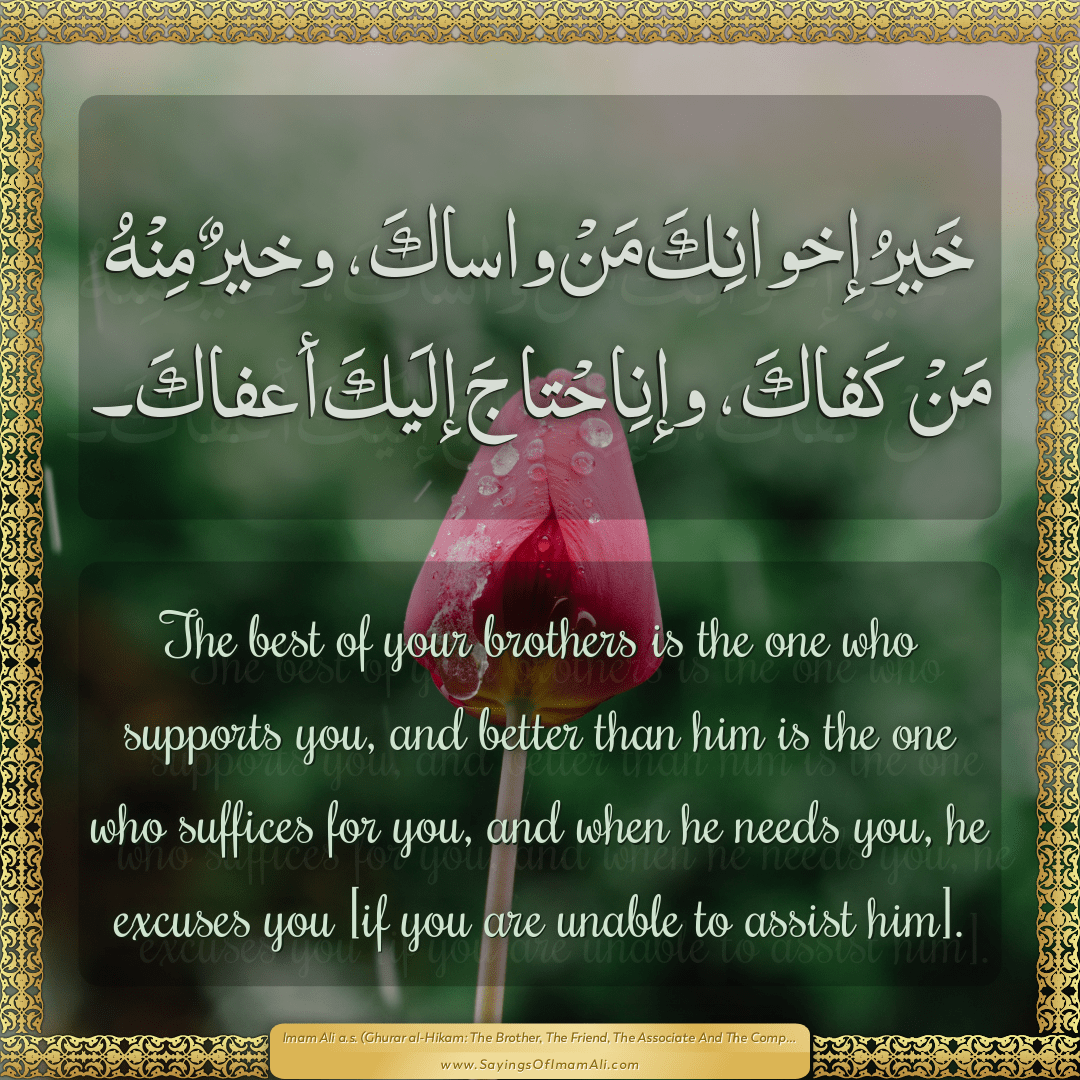 The best of your brothers is the one... — Imam Ali (a.s)