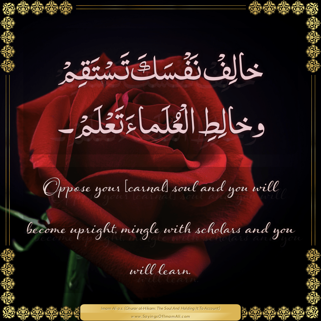 Oppose your [carnal] soul and you will... — Imam Ali (a.s)