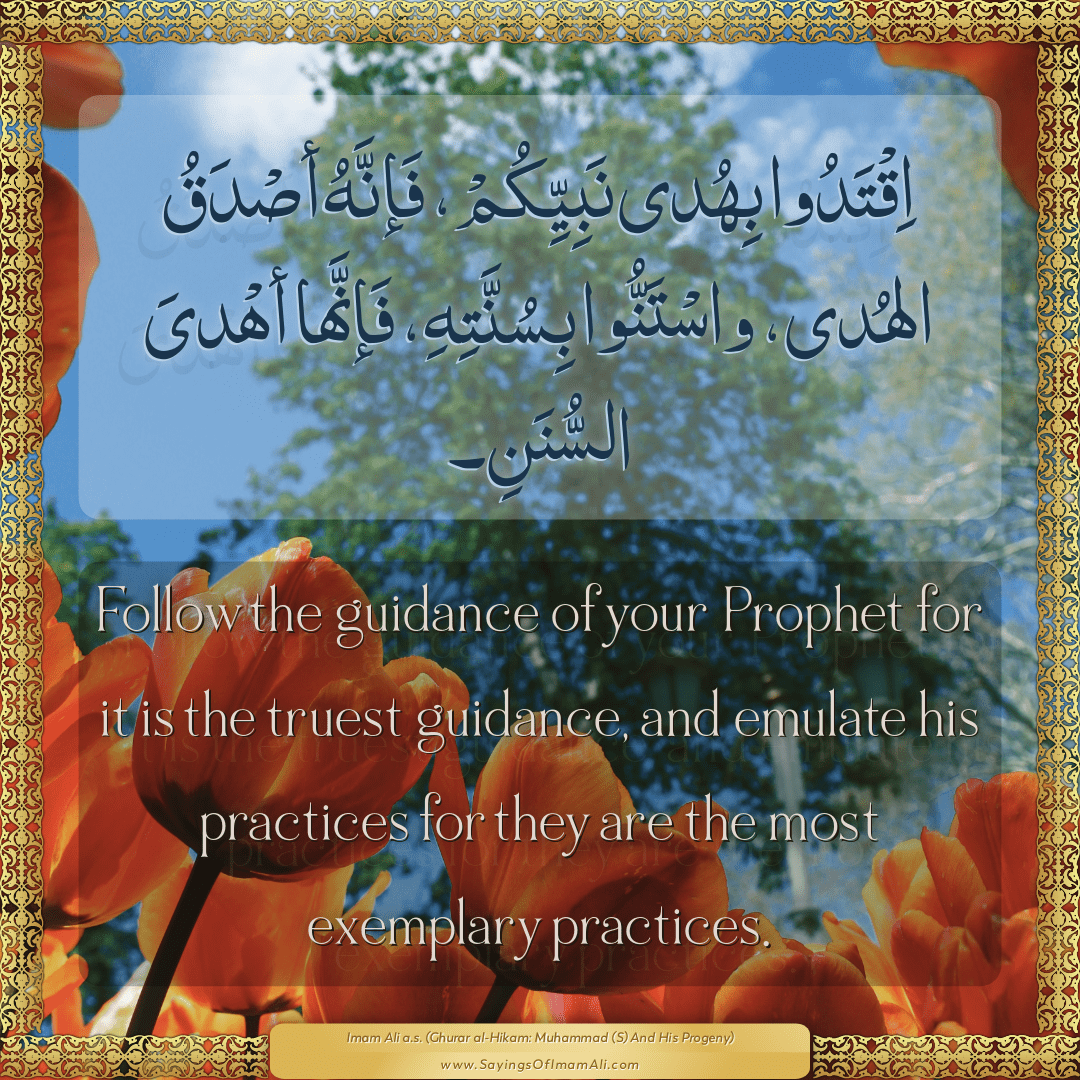 Sayings of Imam Ali (a.s) about: “بِهُدَى”