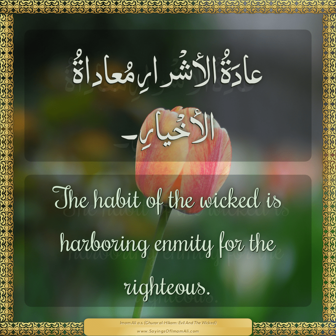 Sayings of Imam Ali (a.s) about: “harboring”