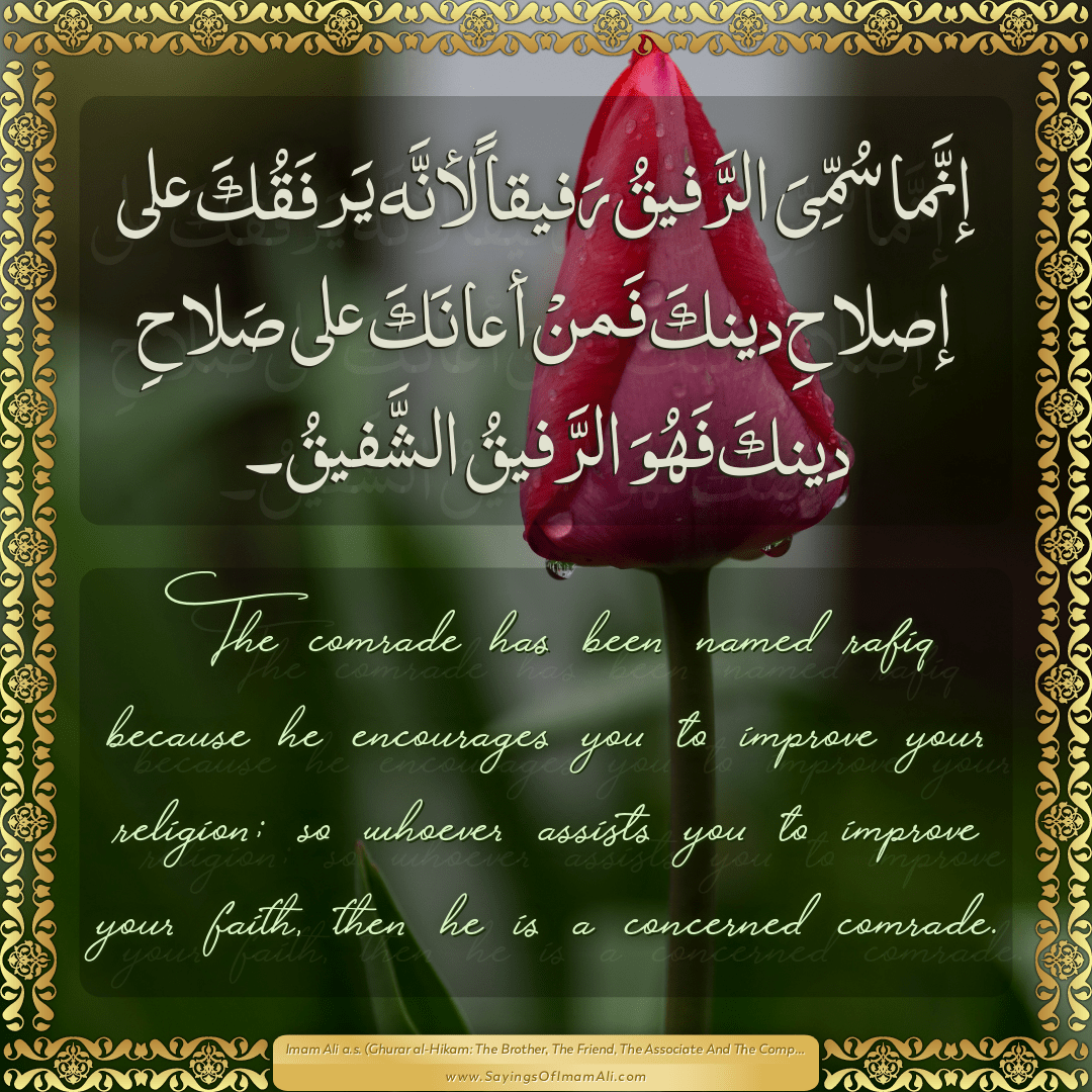 Sayings of Imam Ali (a.s) about: “دينَكَ”