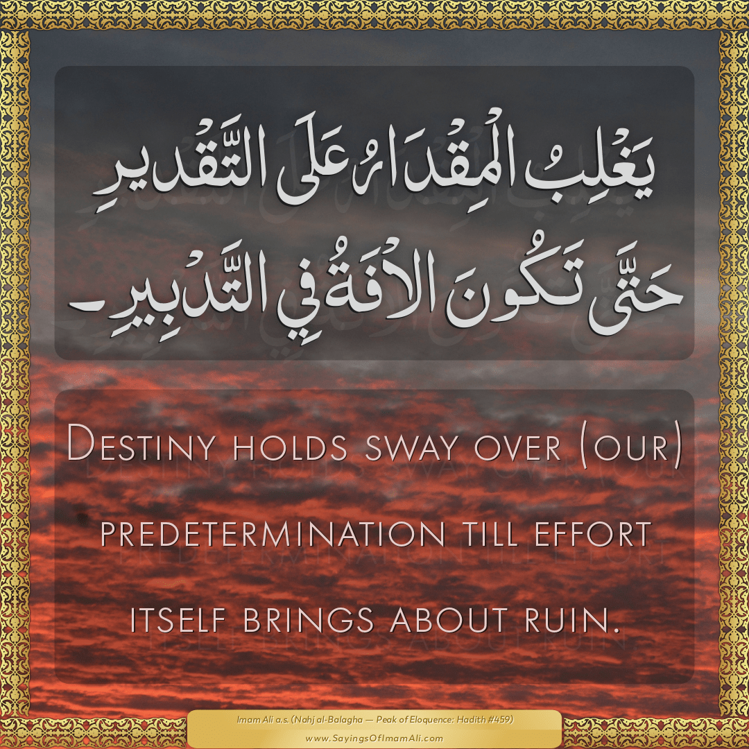 Sayings of Imam Ali (a.s) about: “predetermination”