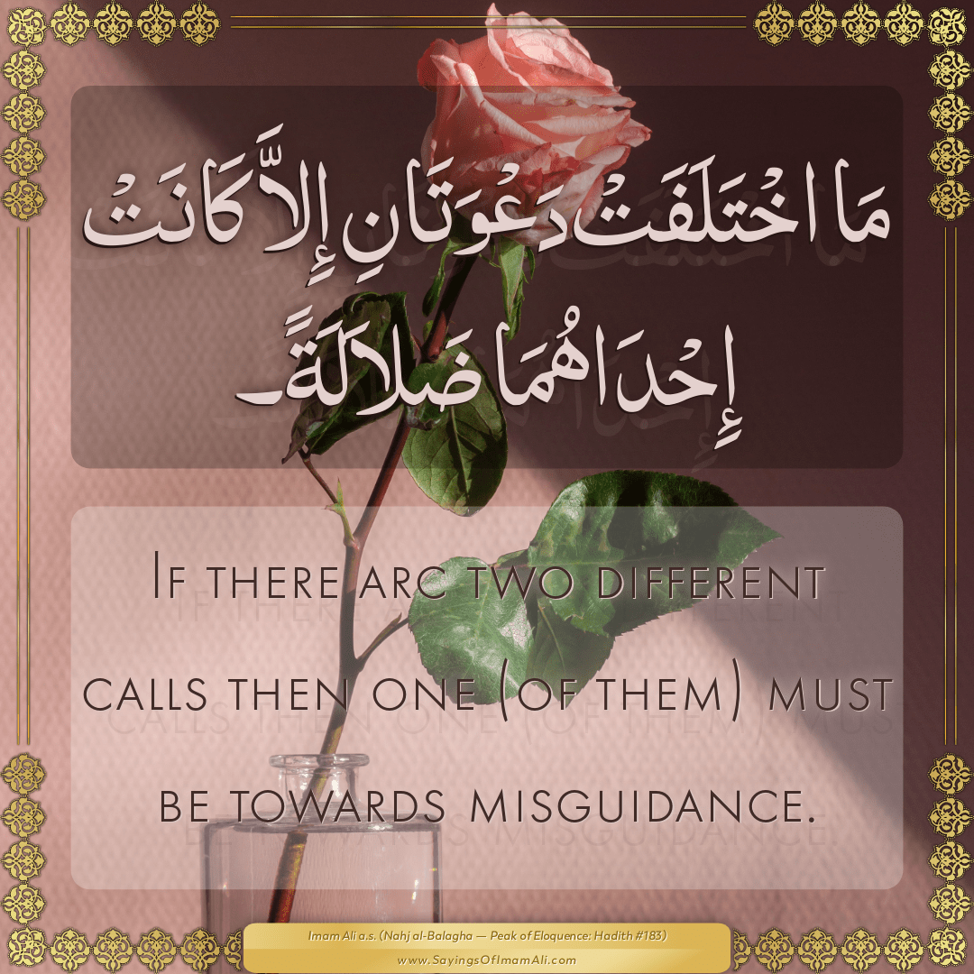 Sayings of Imam Ali (a.s) about: “different”