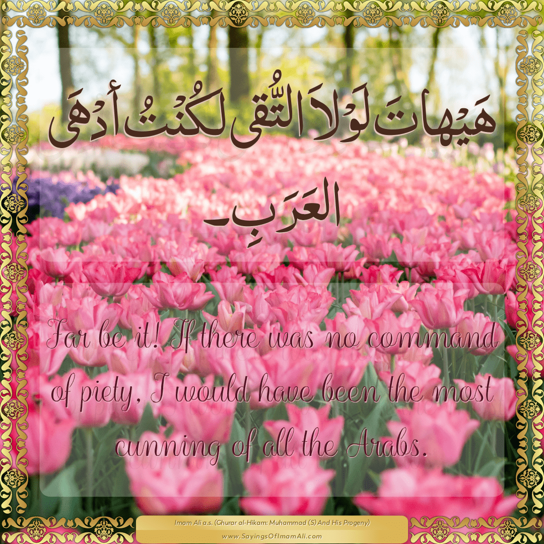 Sayings of Imam Ali (a.s) about: “أدْهَى”