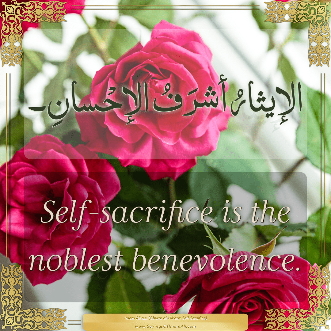 Sayings of Imam Ali (a.s) about: “noblest”