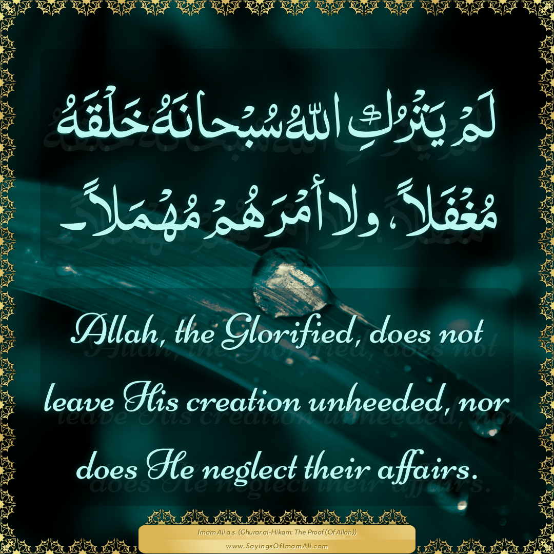 Allah, the Glorified, does not leave... — Imam Ali (a.s)