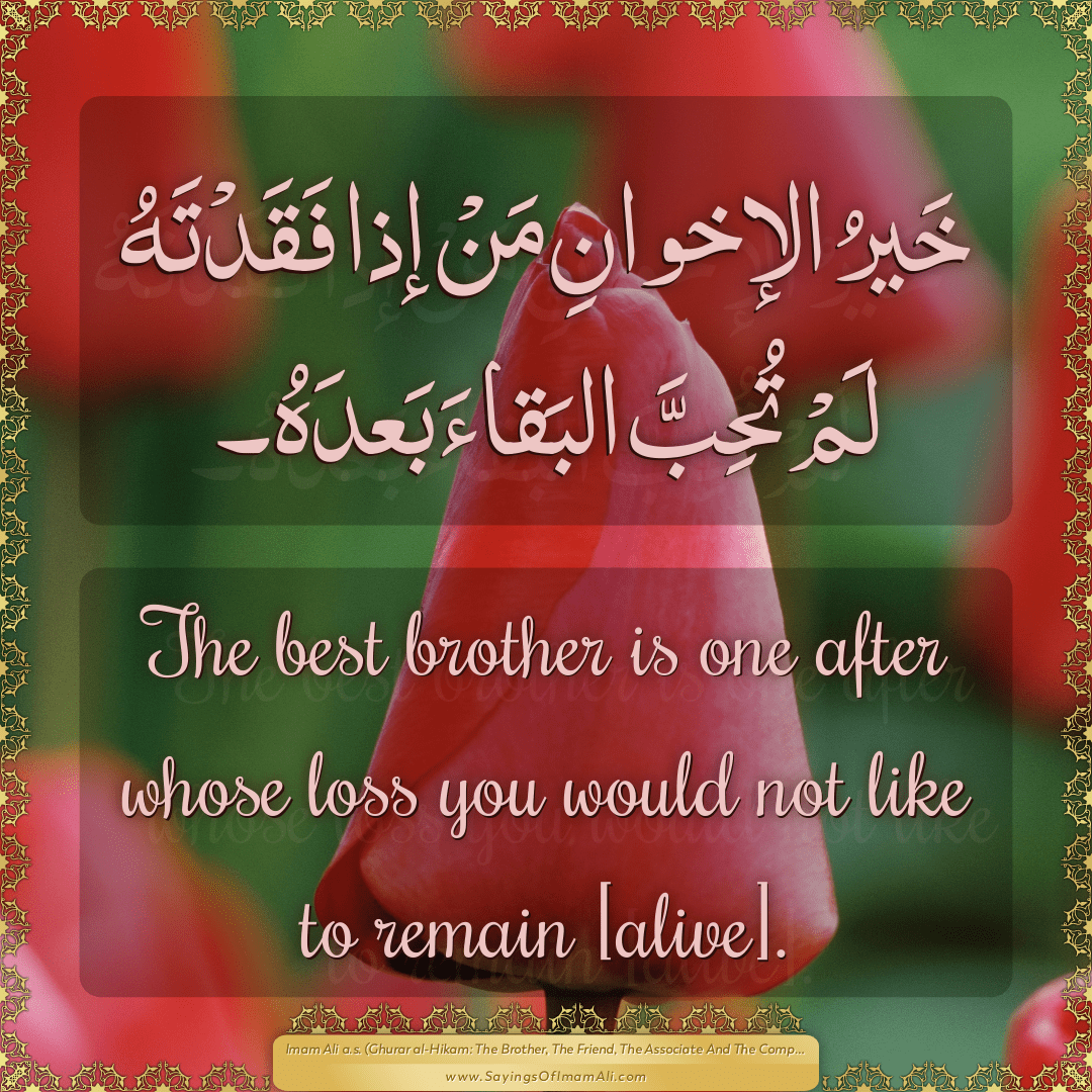 The best brother is one after whose... — Imam Ali (a.s)