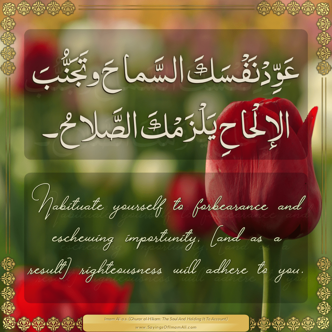Habituate yourself to forbearance and... — Imam Ali (a.s)