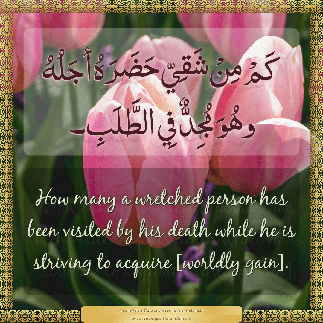 Sayings of Imam Ali (a.s) about: “visited”