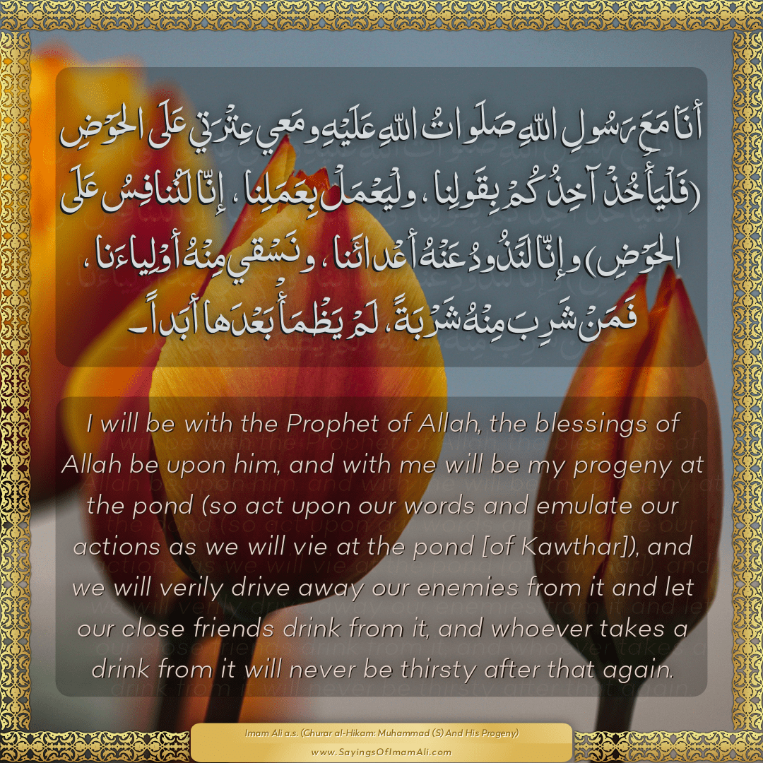 Sayings of Imam Ali (a.s) about: “شَرِبَ”