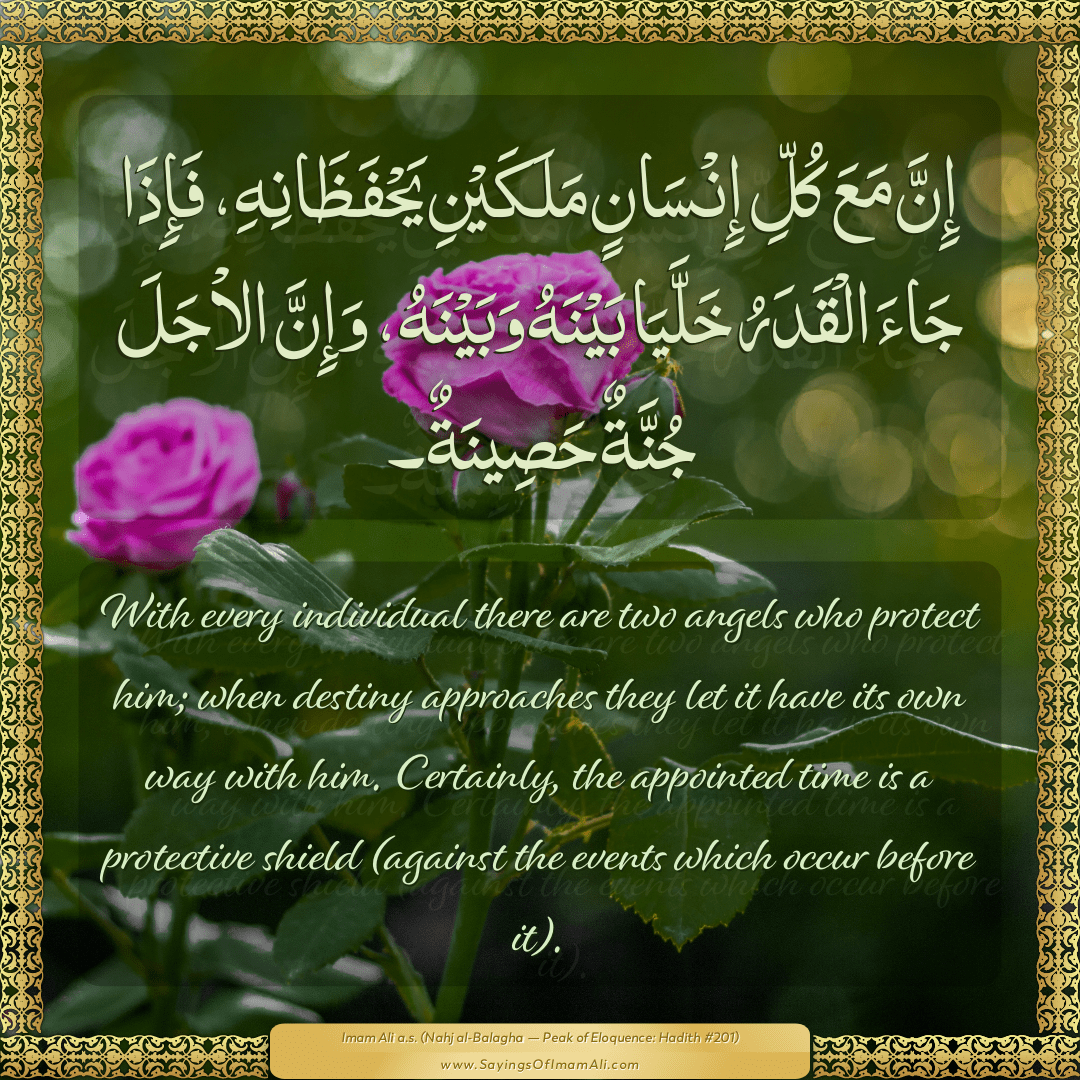Sayings of Imam Ali (a.s) about: “angels”