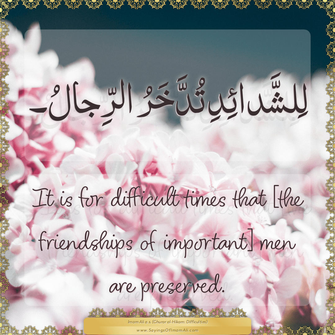 Sayings of Imam Ali (a.s) about: “friendships”