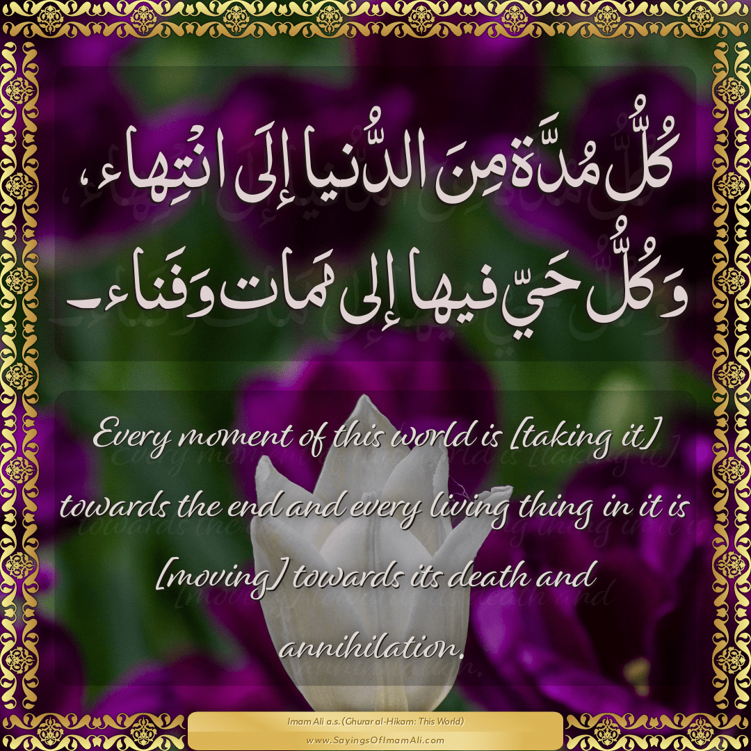 Sayings of Imam Ali (a.s) about: “مَمات”
