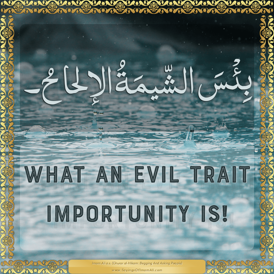 Sayings of Imam Ali (a.s) about: “importunity”
